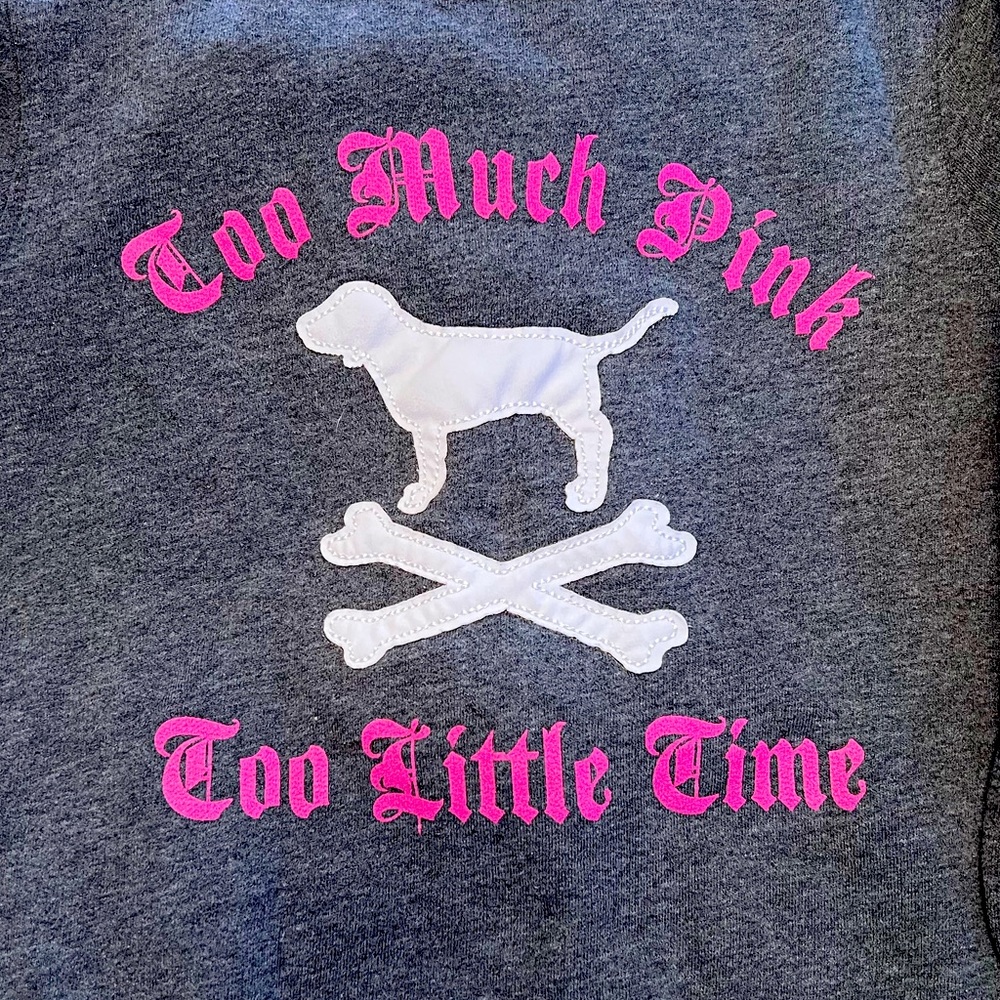 Vintage Victorias Secret Pink Hoodie